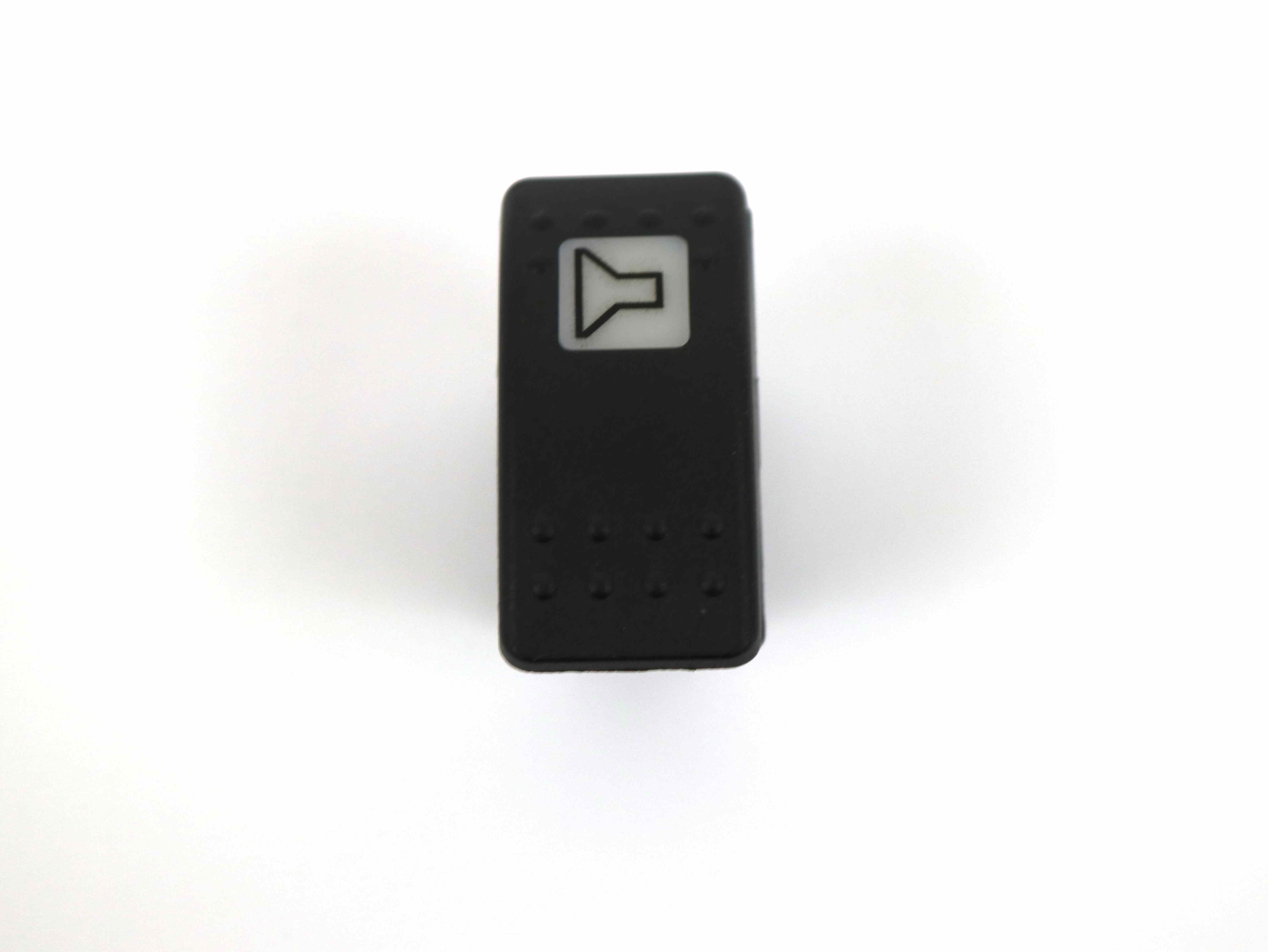 113861 Switch, Speaker