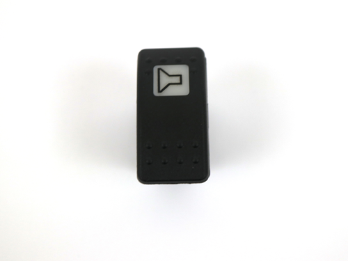 113861 Switch, Speaker