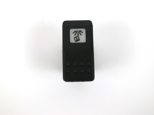 113863 Switch, Reading Light