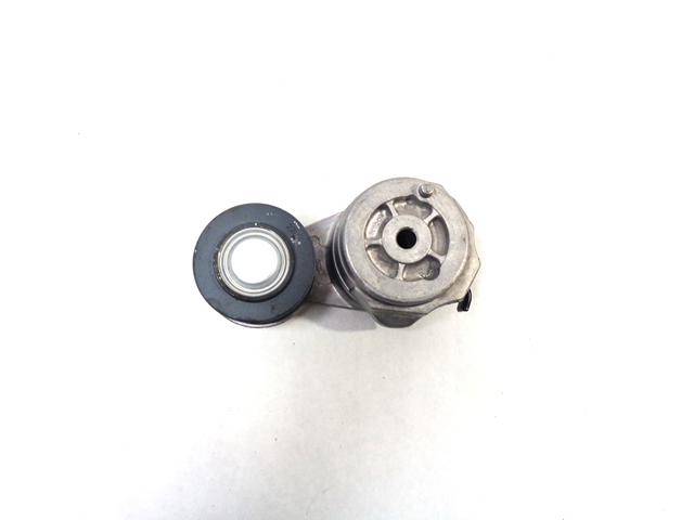 3973819 Tensioner 800-817