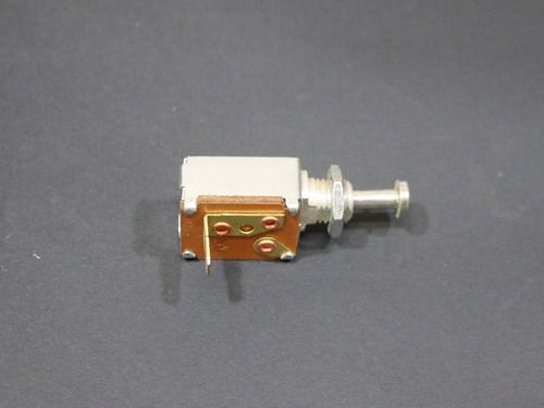 BE010584 Switch, Plunger Style, W/C Door