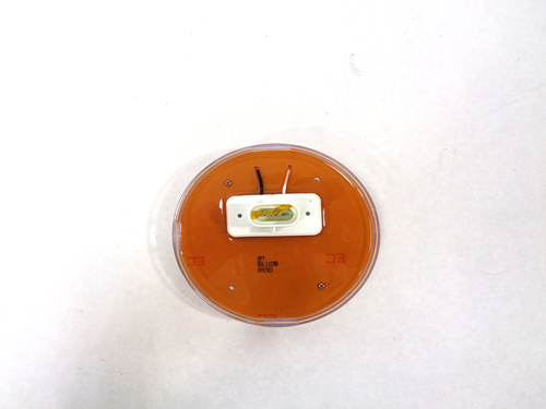 BUL11CMB Light,