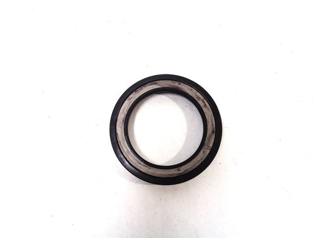 RW20-25 Rear Hub Seals C-5500
