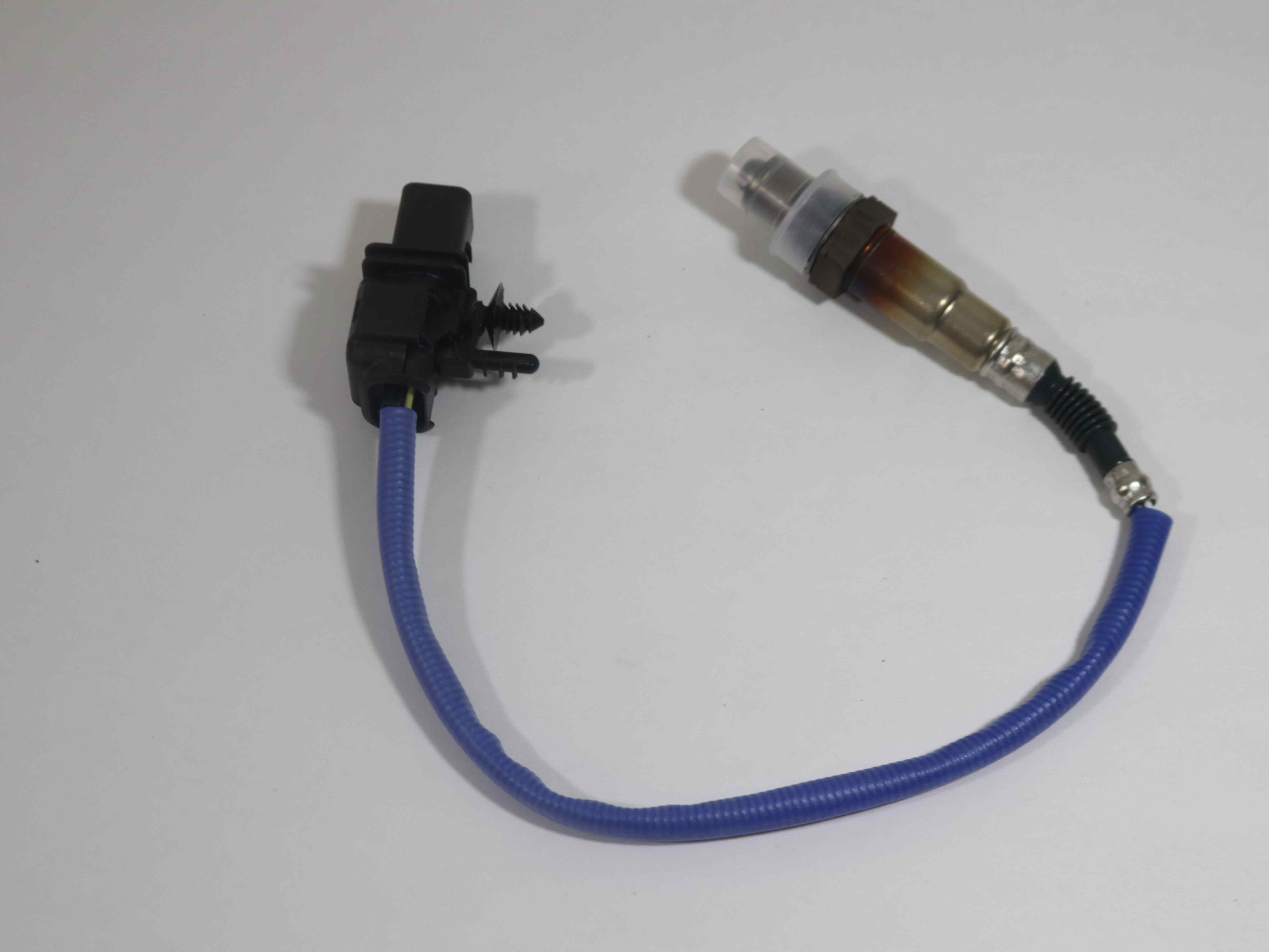 SP001535 Sensor Asm, O2